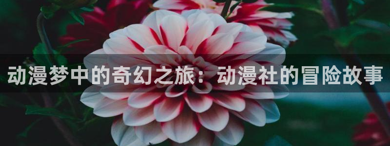 漫岛蛙：动漫梦中的奇幻之旅：动漫社的冒险故事配图