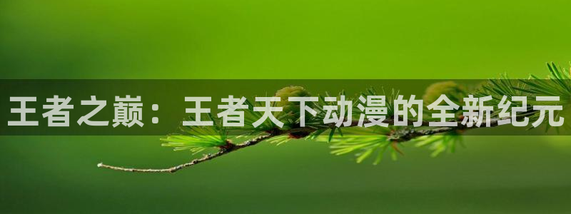 漫蛙：王者之巅：王者天下动漫的全新纪元配图