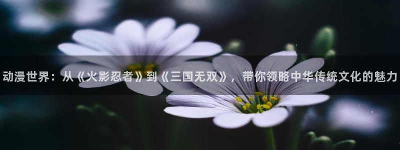 蛙漫号：动漫世界：从《火影忍者》到《三国无双》，带你领略中华传统文化的魅力配图