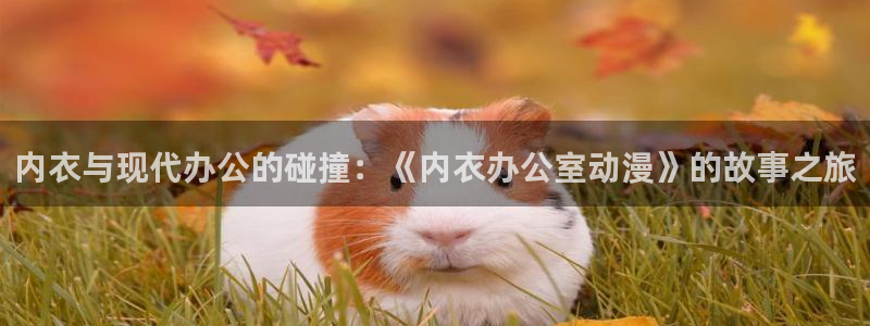 漫蛙乐：内衣与现代办公的碰撞：《内衣办公室动漫》的故事之旅配图