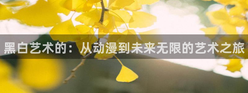 有漫蛙：黑白艺术的：从动漫到未来无限的艺术之旅配图