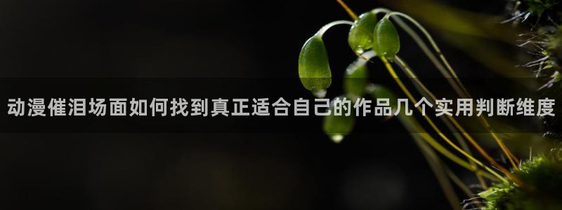 漫蛙a：动漫催泪场面如何找到真正适合自己的作品几个实用判断维度配图