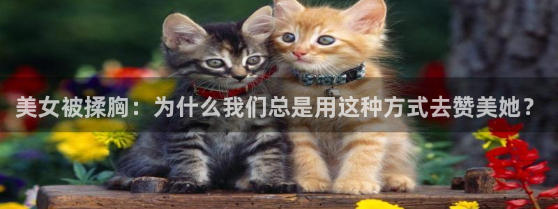 小蛙漫:美女被揉胸:为什么我们总是用这种方式去赞美她?配图