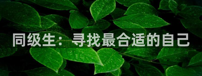 m漫蛙：同级生：寻找最合适的自己配图