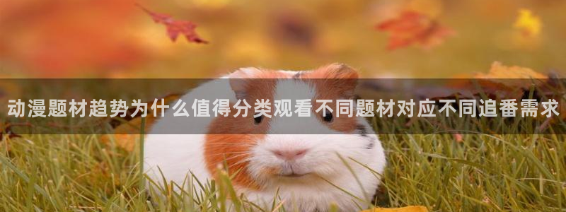 漫蛙图：动漫题材趋势为什么值得分类观看不同题材对应不同追番需求配图
