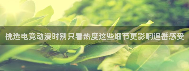 漫蛙下：挑选电竞动漫时别只看热度这些细节更影响追番感受配图