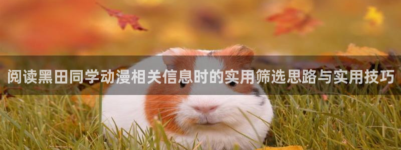 蛙漫入:阅读黑田同学动漫相关信息时的实用筛选思路与实用技巧配图