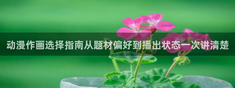 漫蛙:动漫作画选择指南从题材偏好到播出状态一次讲清楚配图
