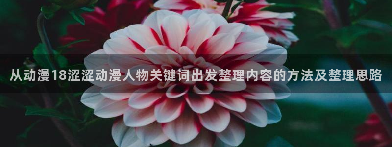 漫蛙能:从动漫18涩涩动漫人物关键词出发整理内容的方法及整理思路配图