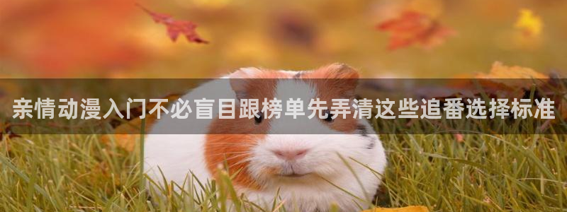古漫蛙:亲情动漫入门不必盲目跟榜单先弄清这些追番选择标准配图